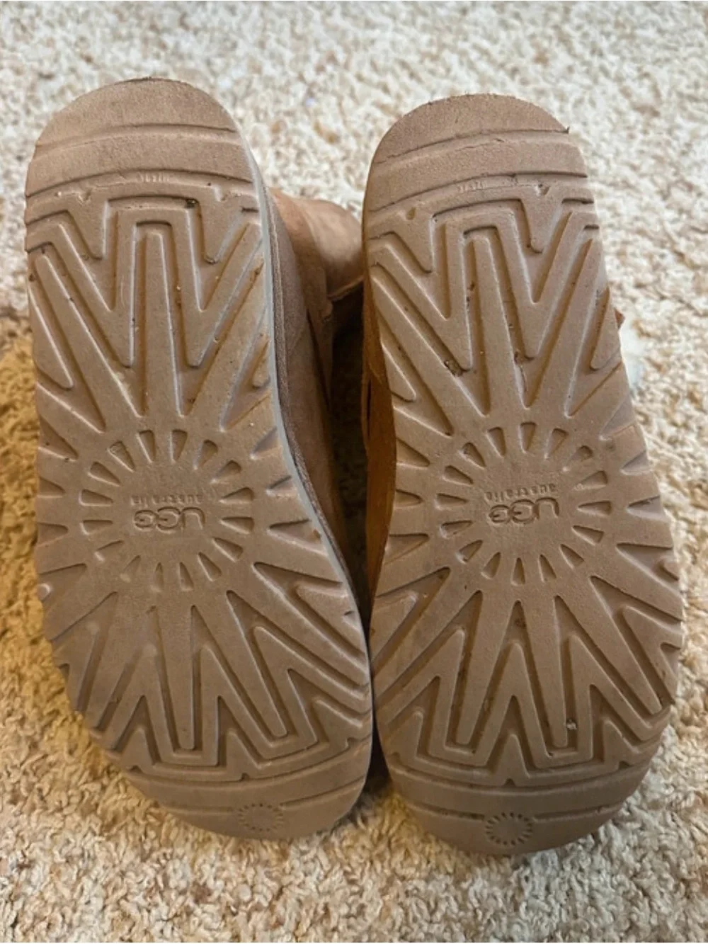 UGG Classic Blaise in Chestnut